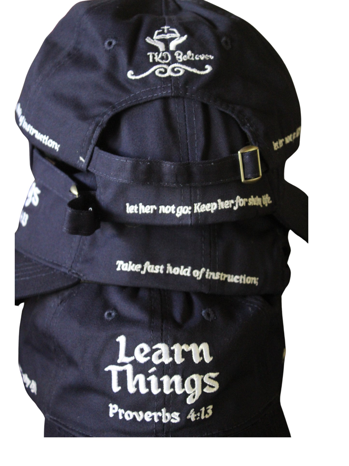 "Learn Things" Embroidered Dad Cap - Proverbs 4:13